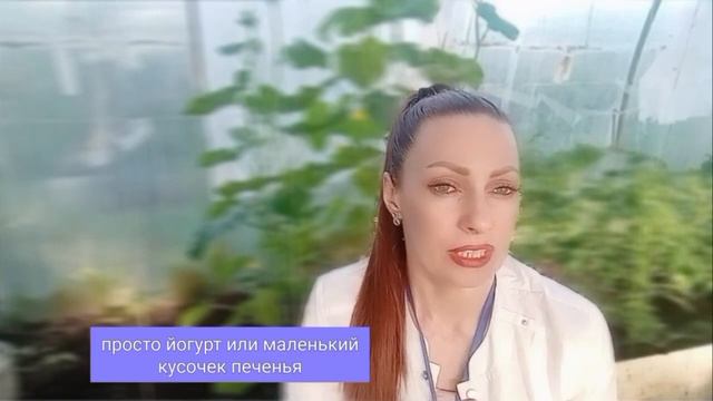 Чтобы похудеть нужно знать о трех свойствах инсулина. часть 1