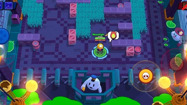 НОВЫЙ ПРОЕКТ? ПУТЬ MOONLIGHT🌙!