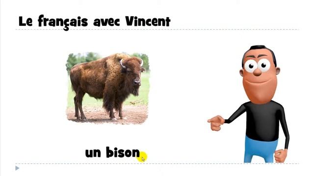 французские первые фразы # un bison смотреть онлайн