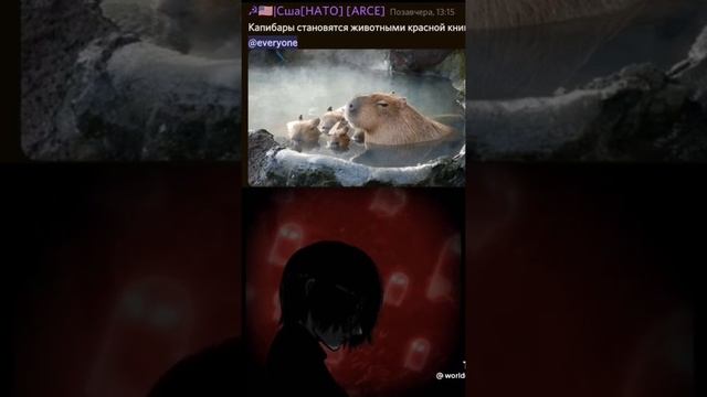 Капибары становятся животными красной книги