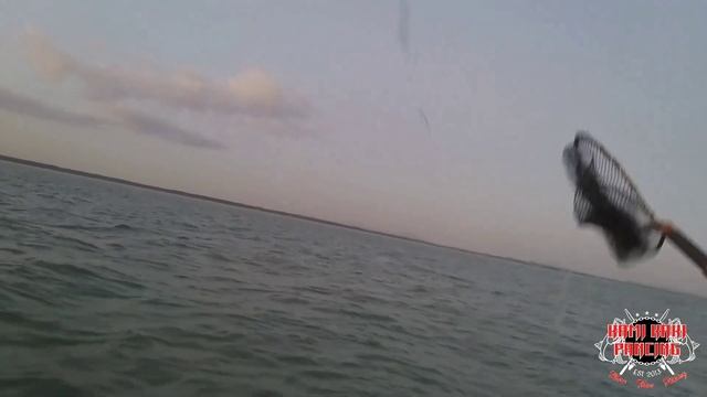 Mancing Bersama Tekong Amin Di Togok Sungai Balang Muar #8 смотреть онлайн