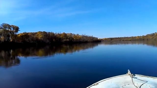 На куре смотреть онлайн