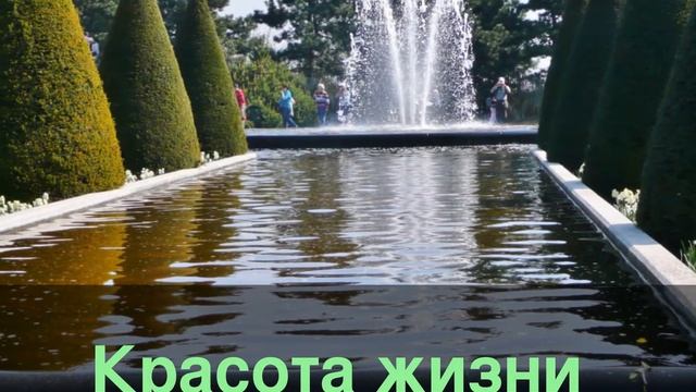 Красота жизни смотреть онлайн