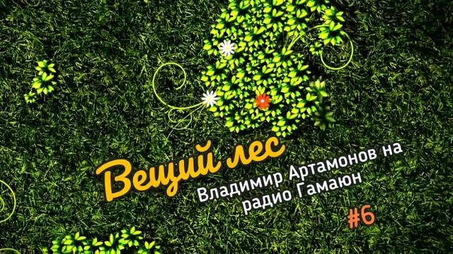 Вещий Лес Выпуск Шестой смотреть онлайн