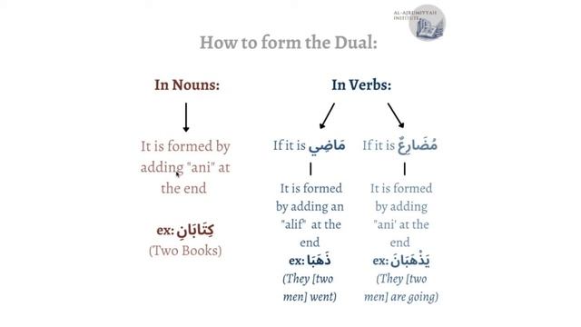 The Three Numbers in Arabic (Singular, Dual, Plural) смотреть онлайн
