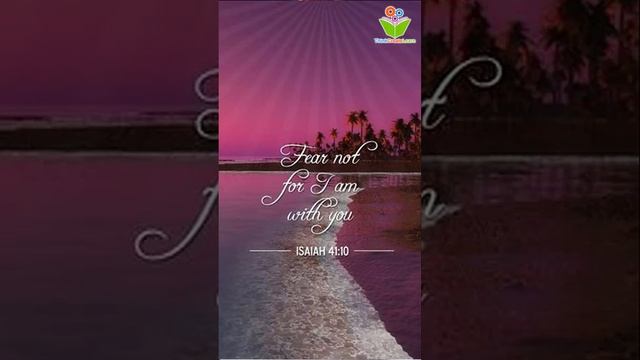 Fear not for i am with you #bible quotes #christ #proverbs #thinkcreatelearn смотреть онлайн