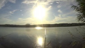 Ловим "огромных" карасей на платнике