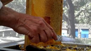 Распечатка сотовых рамок ножом