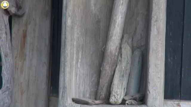 freelancelifestyle ru Vietnam 392 6 Sapa Private Trekking смотреть онлайн
