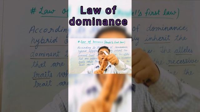 law of dominance | Mendel's first law смотреть онлайн