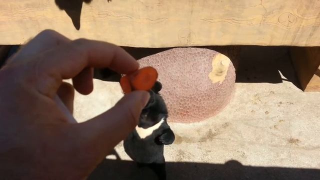 Выгодный бизнес смотреть онлайн