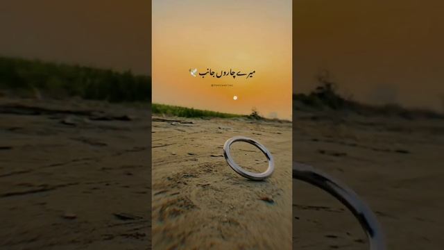 poetry urdu deep line #true poetry смотреть онлайн