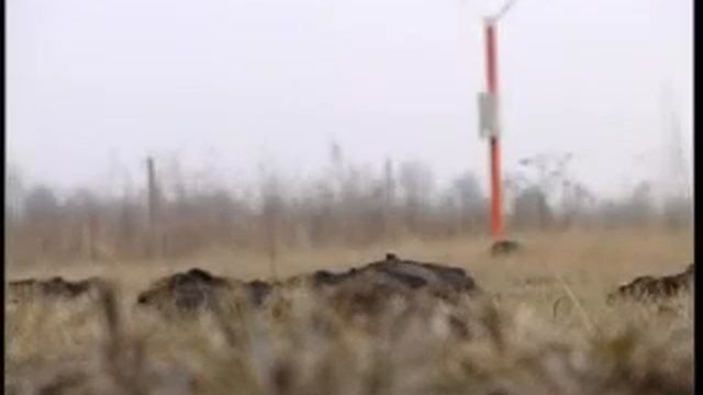 "Професіонали" - "Метеоролог" смотреть онлайн