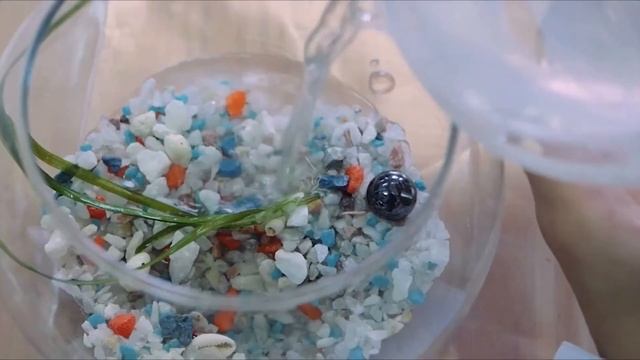 АКДЭЦ   март  2020