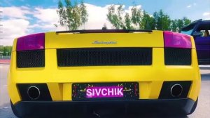 БАДАЛАДУШКИ Х10