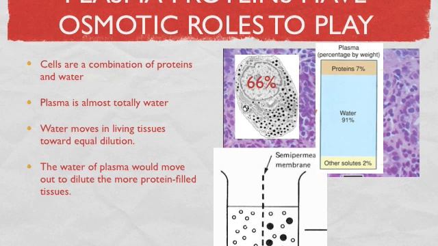 Blood - The Plasma Fraction смотреть онлайн