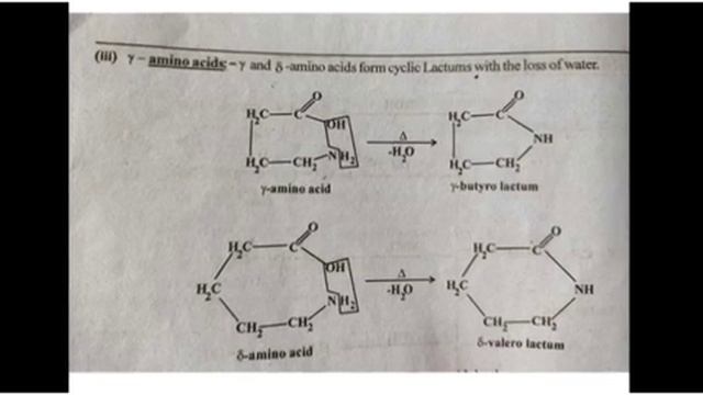chemical properties of alpha amino acids смотреть онлайн