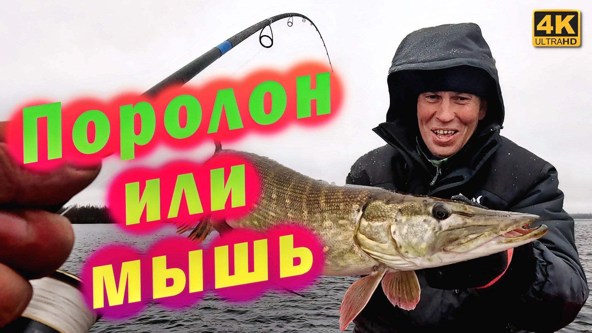 На что лучше клюёт ЩУКА, Полононовая рыбка или МЫШЬ смотреть онлайн