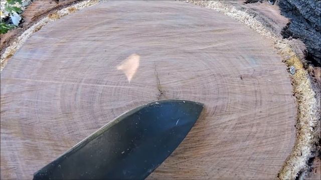 Tree, growth rings. смотреть онлайн