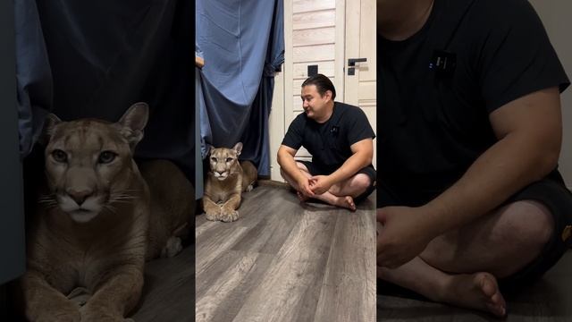 Найдите ошибку? смотреть онлайн