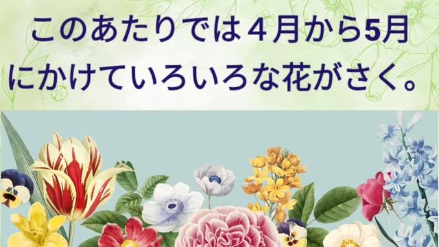 Teena Sensei Channel - JLPT N3 Grammar ~から~にかけて смотреть онлайн