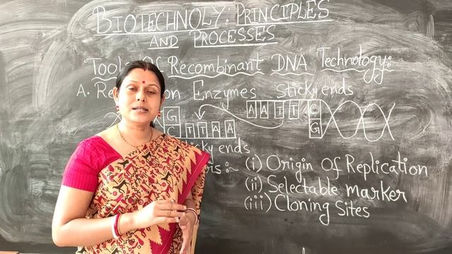 BIOTECHNOLOGY;Principles and Processes. смотреть онлайн