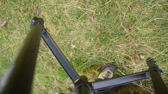 Deer Wildlife Photography in Italy [ENGLISH SUBTITLES] | CACCIA FOTOGRAFICA "Il bramito dei Cervi" смотреть онлайн