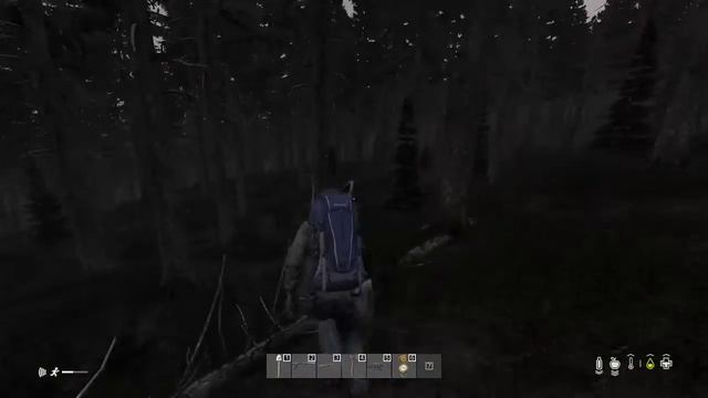 Dayz: Live stream, part 2, (1.06 game play) смотреть онлайн
