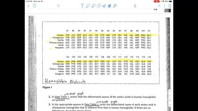 Amino Acid Sequences and Evolution: Worksheet Help Part 1 смотреть онлайн