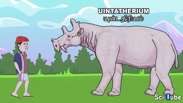 பழங்கால மிருகங்கள் அளவின் ஒப்பீடு. PREHISTORIC ANIMALS SIZE COMPARISON.(AFTER DINOSAURS EXTINCTION смотреть онлайн