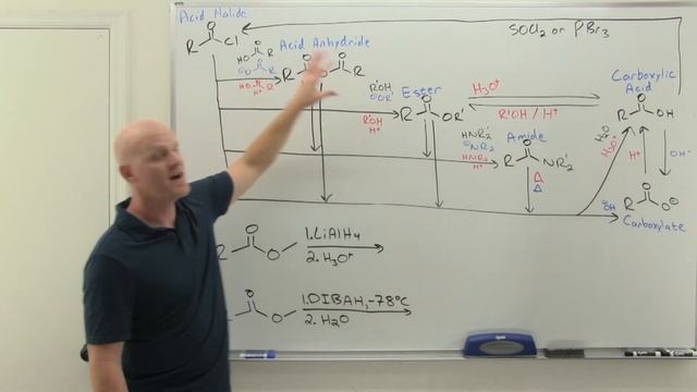 20.8 Synthesis and Reactions of Esters | Organic Chemistry смотреть онлайн