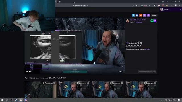 рефлекс на дрочку @strogo смотреть онлайн