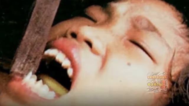 Топ самых необычных и странных ритуалов ухаживания смотреть онлайн