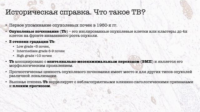 Tumor Budding & PDAC
