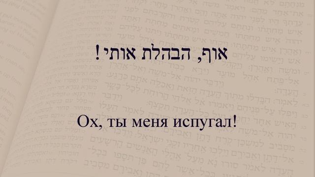 Глагол 275 "Испугать, вогнать в панику". Спряжение глаголов в иврите. смотреть онлайн