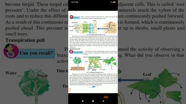 Class 9 Life Process In Living Organisms