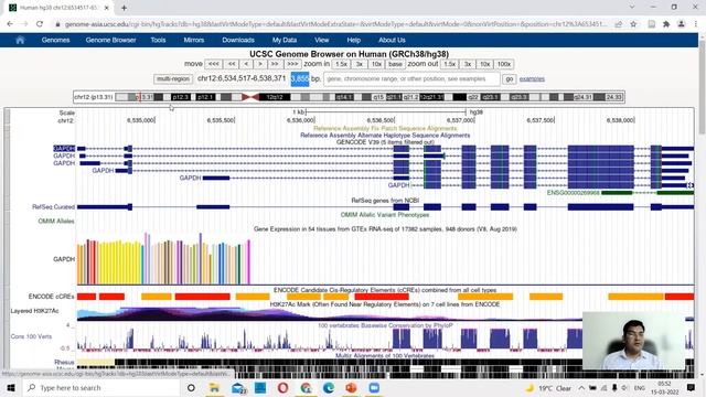 Primer Designing - With Primer 3 And UCSC Genome Browser - Bioinformatics Practical 3