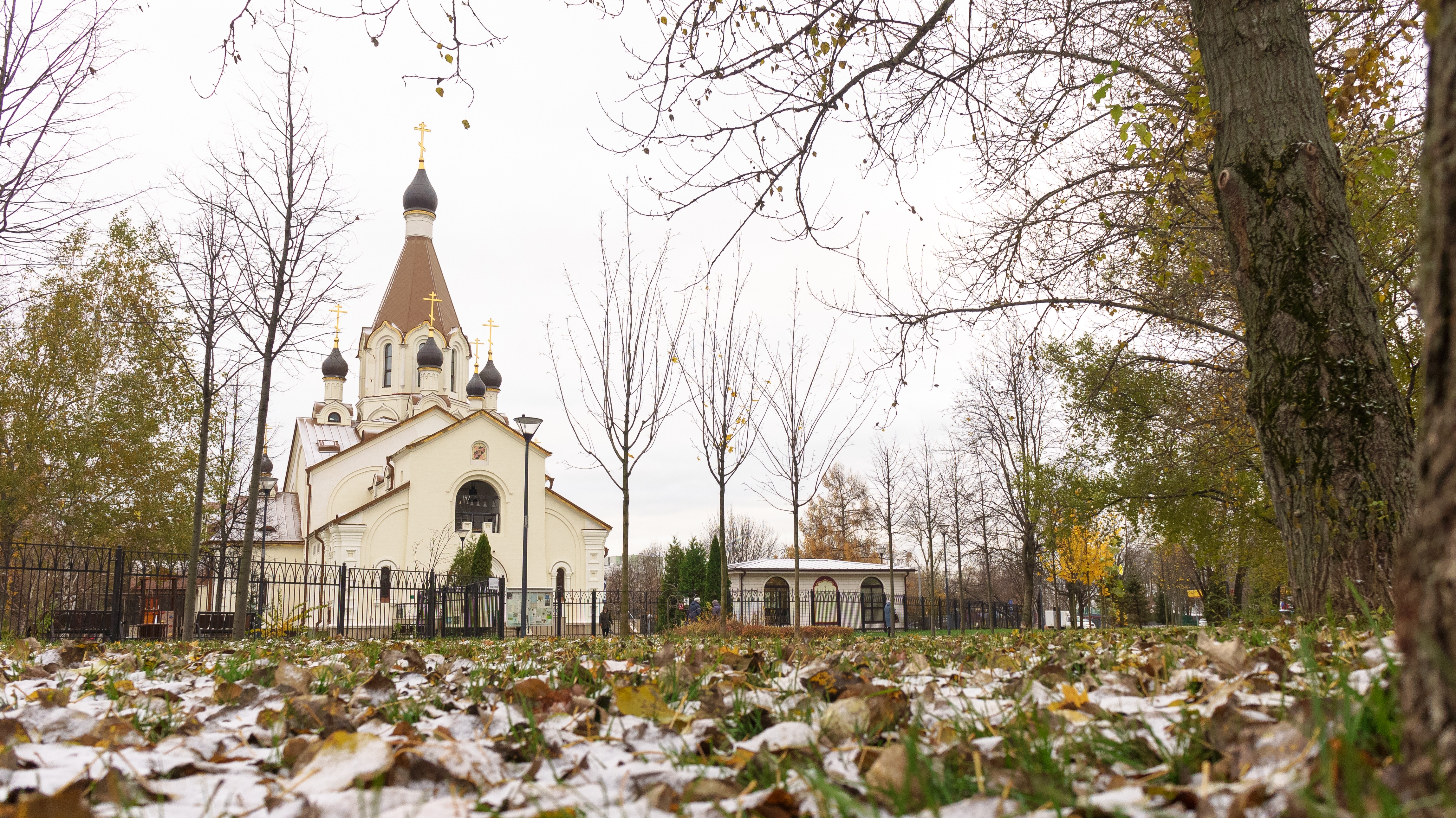 Уличная миссия 10.11.24 [краткий обзор] смотреть онлайн