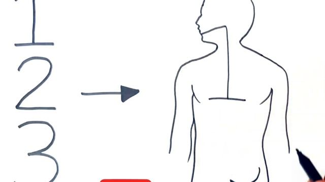 Human Digestive System Diagram Class 10 смотреть онлайн