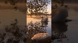 Валентина Бирюкова - Россия