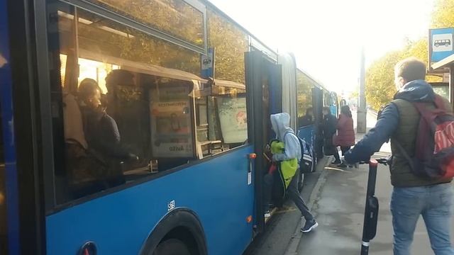 ЛиАЗы-5292.65 150367 и 6213.22 150165 На Новощукинской улице