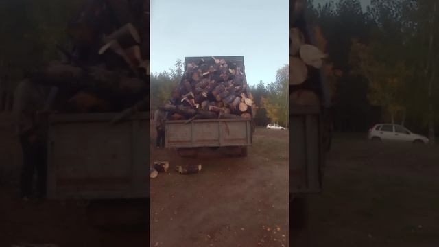 Заготовка дров на зиму.