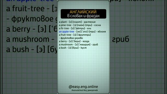 🔔 НАЧИНАЕМ УЧИТЬ АНГЛИЙСКИЙ | 🗣️ Популярные слова в английском языке смотреть онлайн