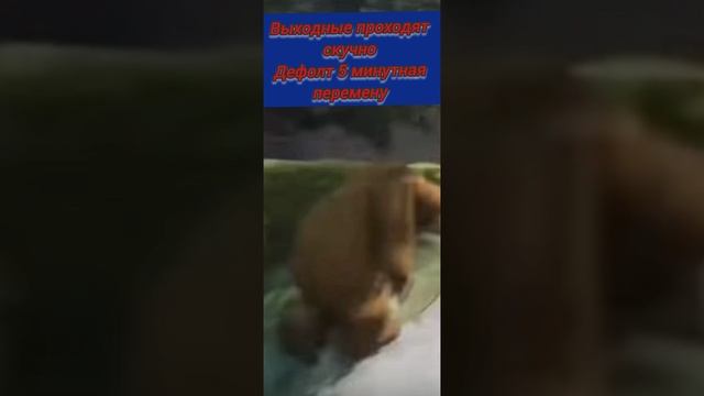 наша типичная перемена смотреть онлайн