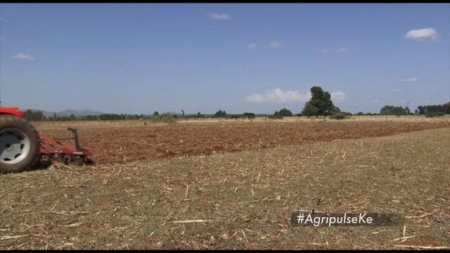 AGRI-PULSE Planting Maize Part 1 смотреть онлайн
