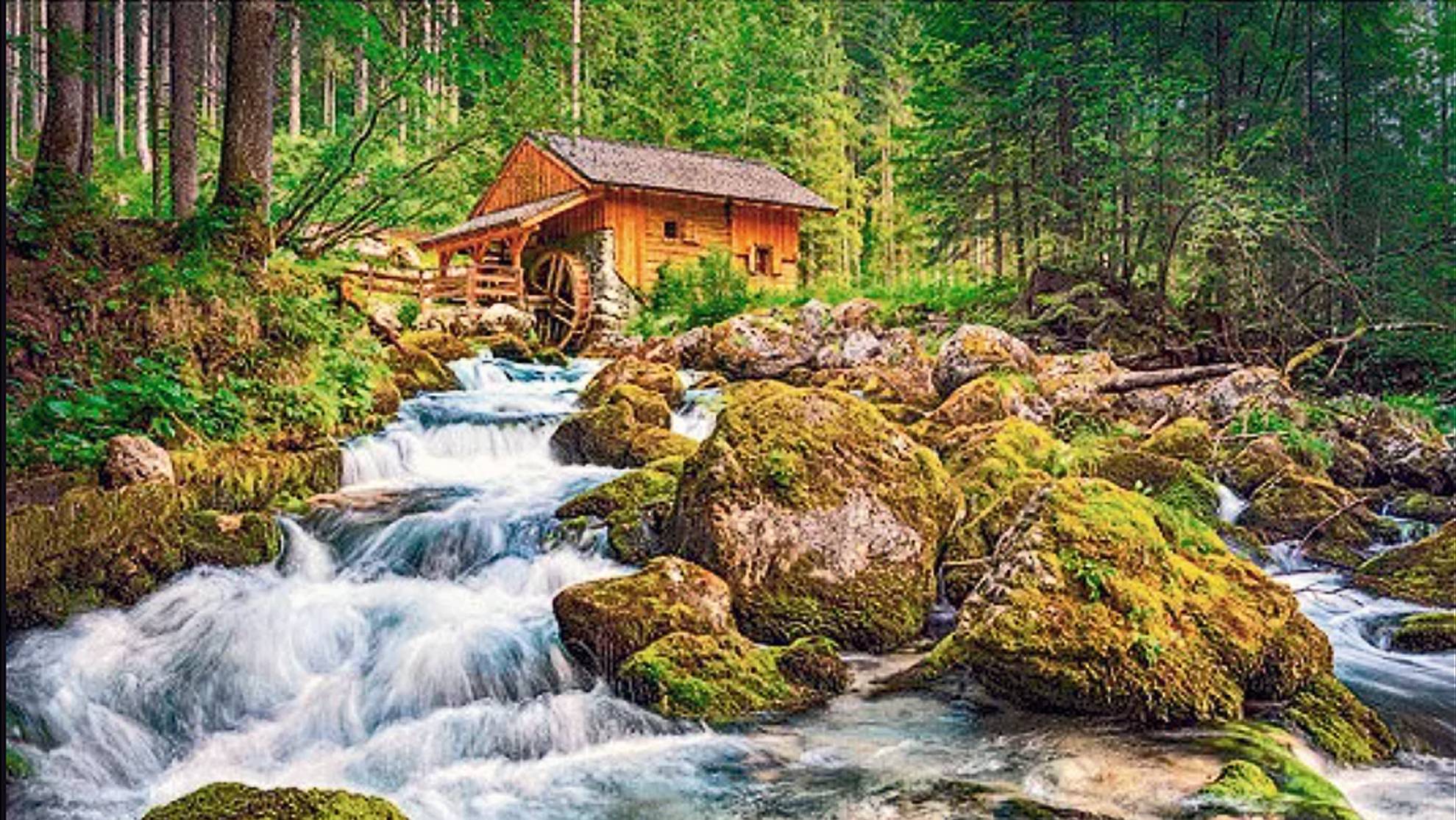 Вивальди А. Л. Concerto in C minor RV: 120,196,198а,199,401,402,509 / Vivaldi Antonio. смотреть онлайн