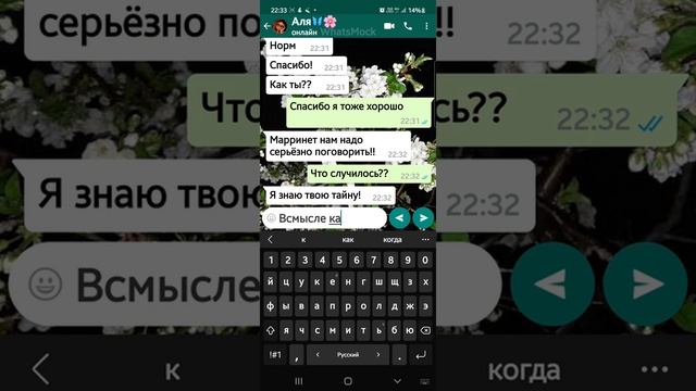 Марринет и раскрытие её тайной личности