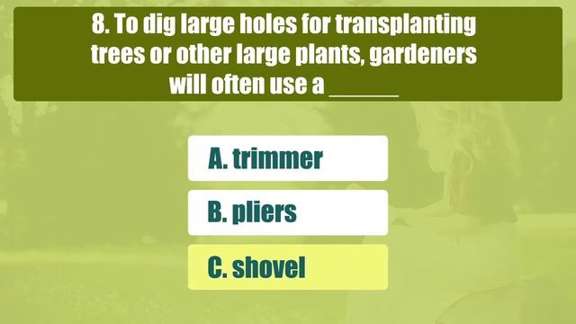 Intermediate English Grammar & Vocabulary Quiz - English Tests смотреть онлайн