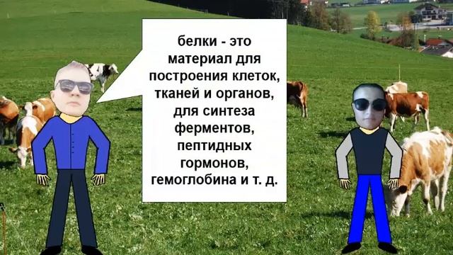 повесть о том, как брат брата питанию правильному учил смотреть онлайн