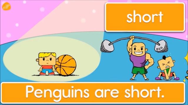 ADJECTIVE PHRASES: FAT - THIN - TALL - SHORT - YOUNG - OLD смотреть онлайн